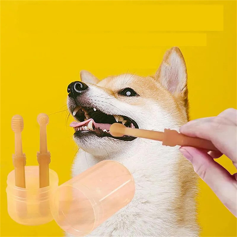 Teeth Whitening Dog Cat Silico - Teeth Whitening Kit review and price