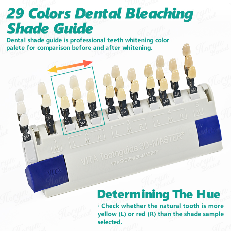 Vita 3D Master Dental Lab Blea - Teeth Whitening Flash review and price
